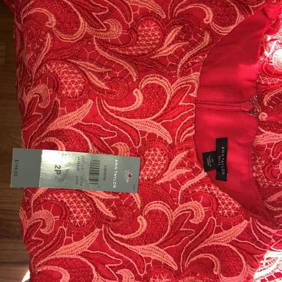 Ann Taylor Petite Two Tone Lace Sheath Dress - Picture 11 of 12